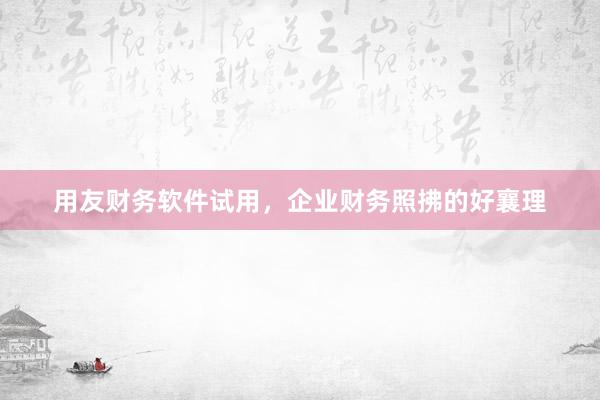 用友财务软件试用，企业财务照拂的好襄理